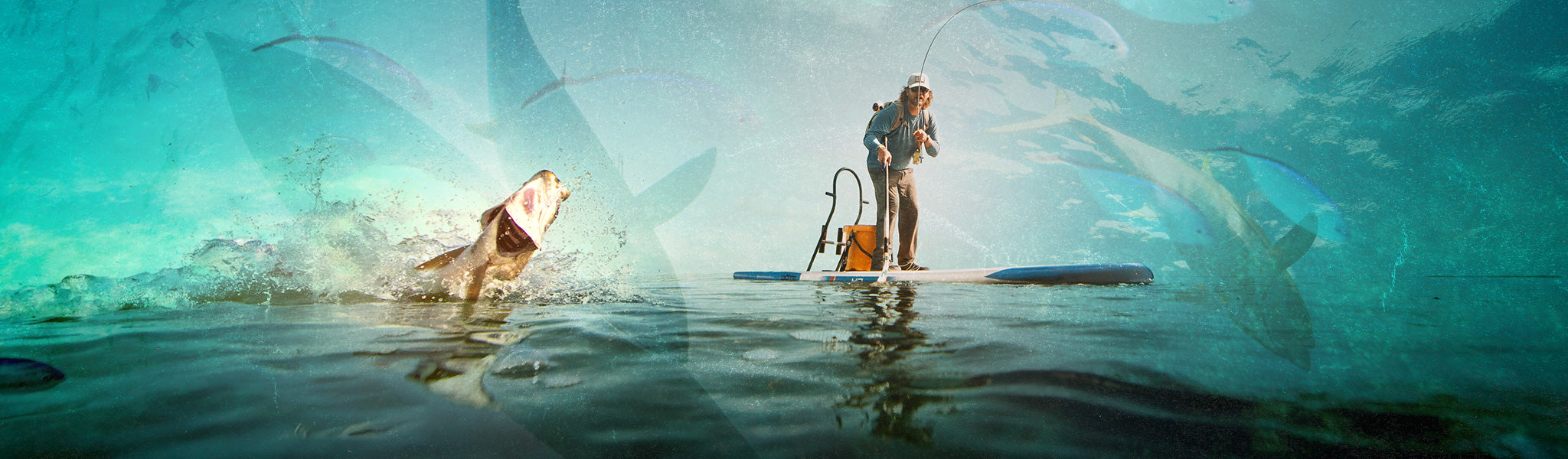 A guy catching a fish on a BOTE Fischer paddle board