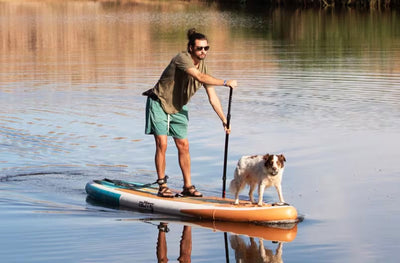 Man paddling on a WULF Aero paddle board with a dog standing at the front.