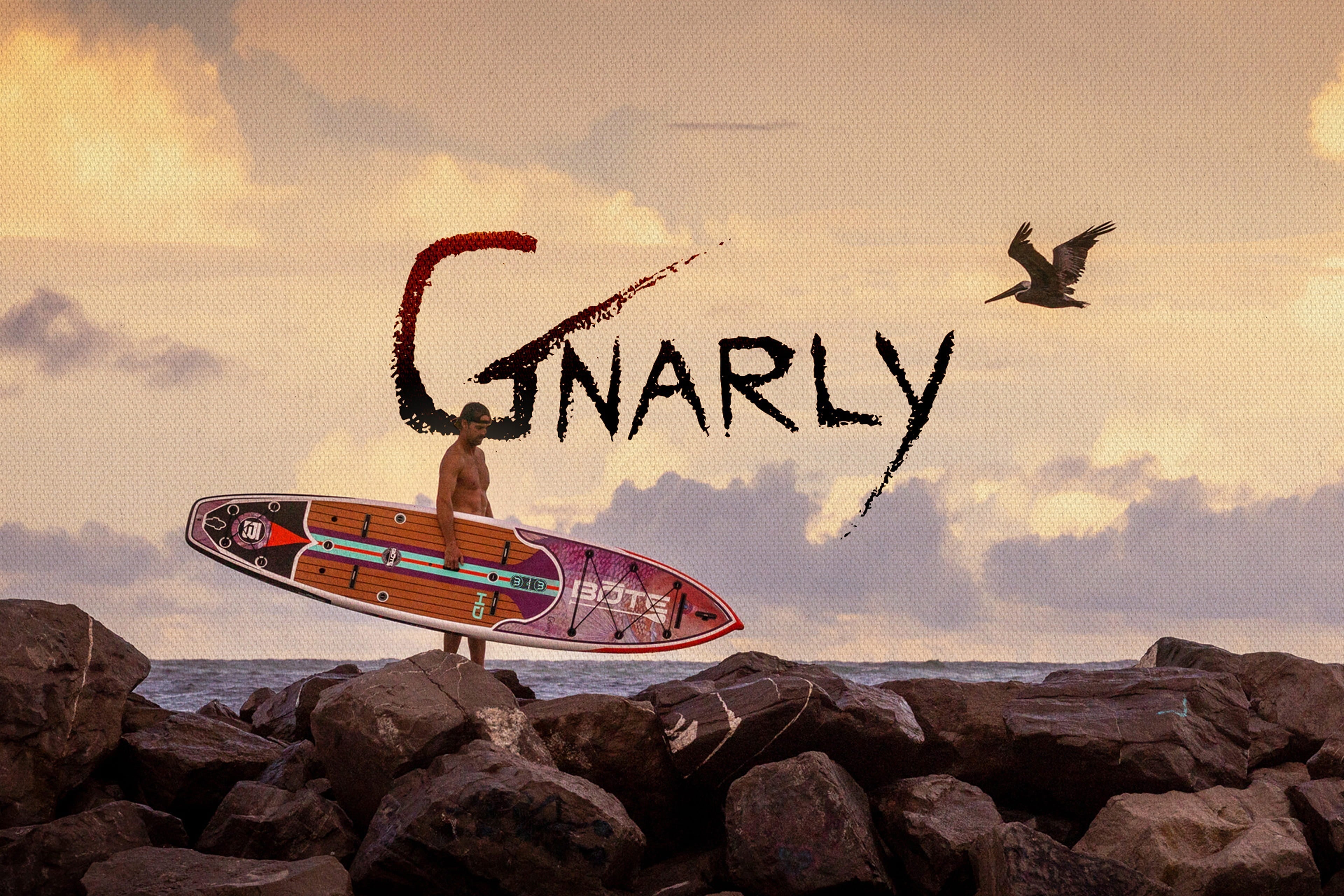 BOTE Presents // Gnarly Harley