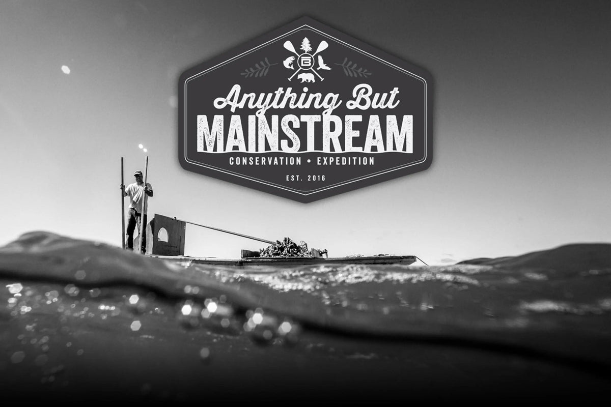 Anything but Mainstream