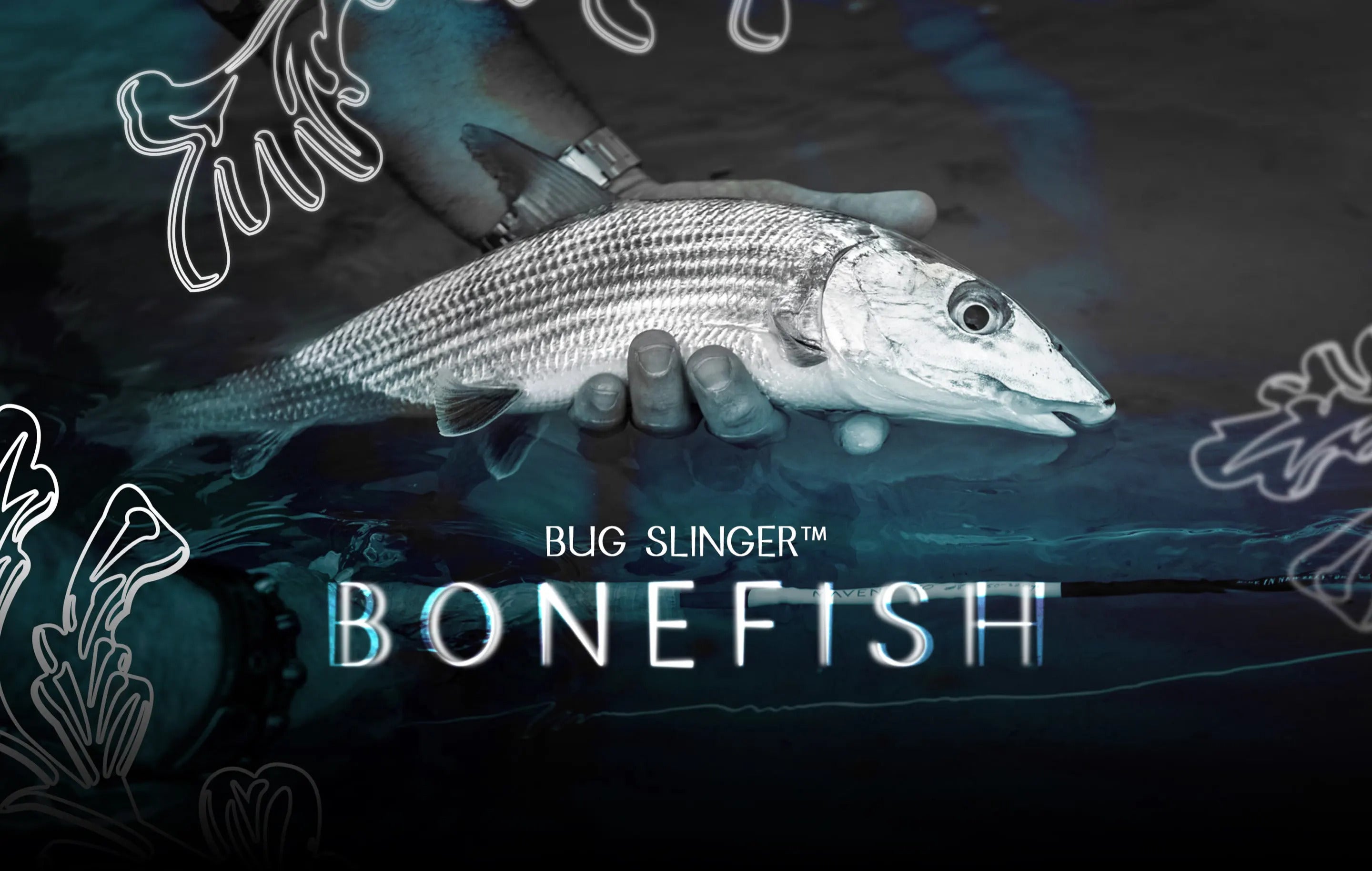 Fisherman holding a bonefish above the water with text overlay that says " Bug Slinger BONEFISH"