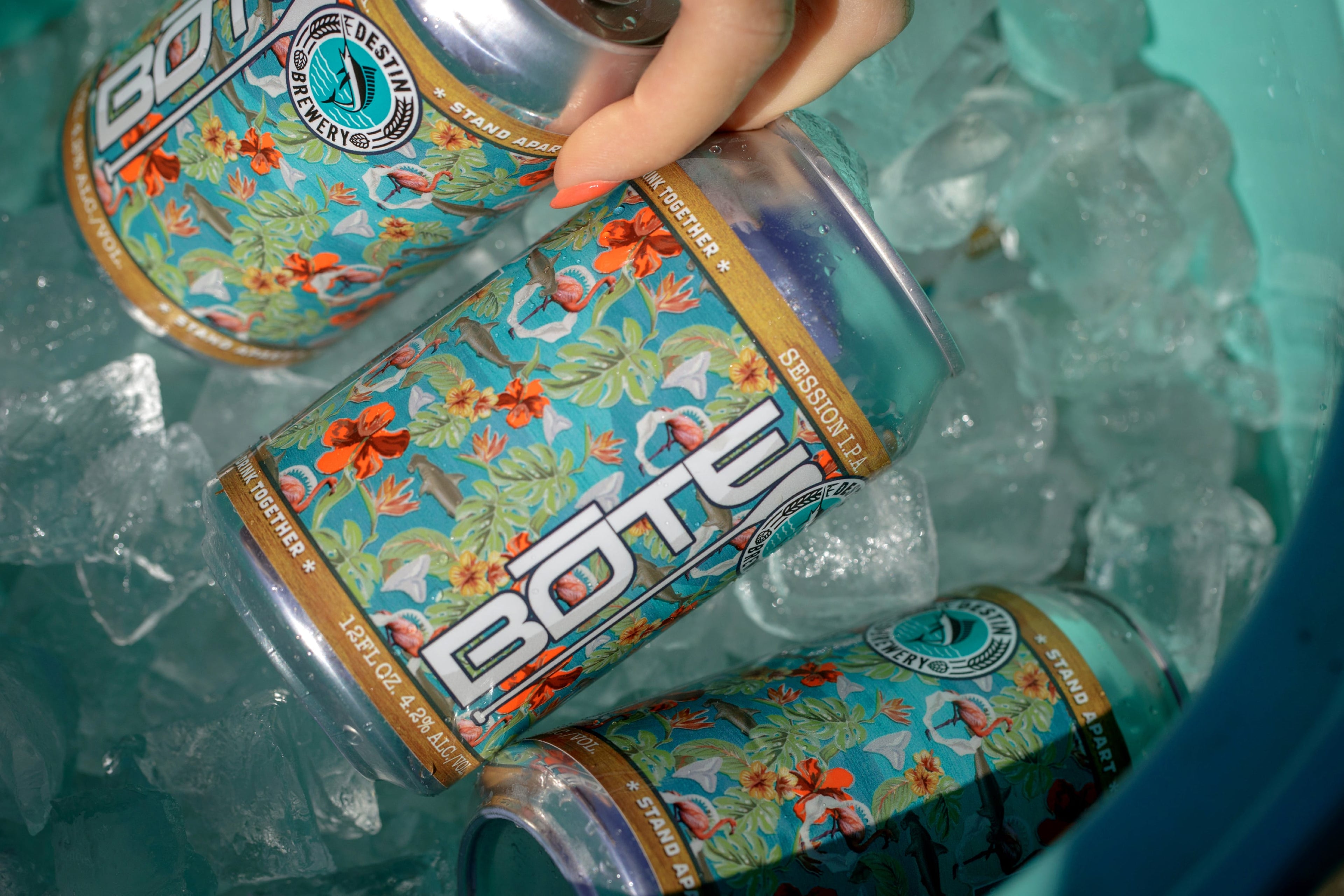 BOTE Beer: The Journey