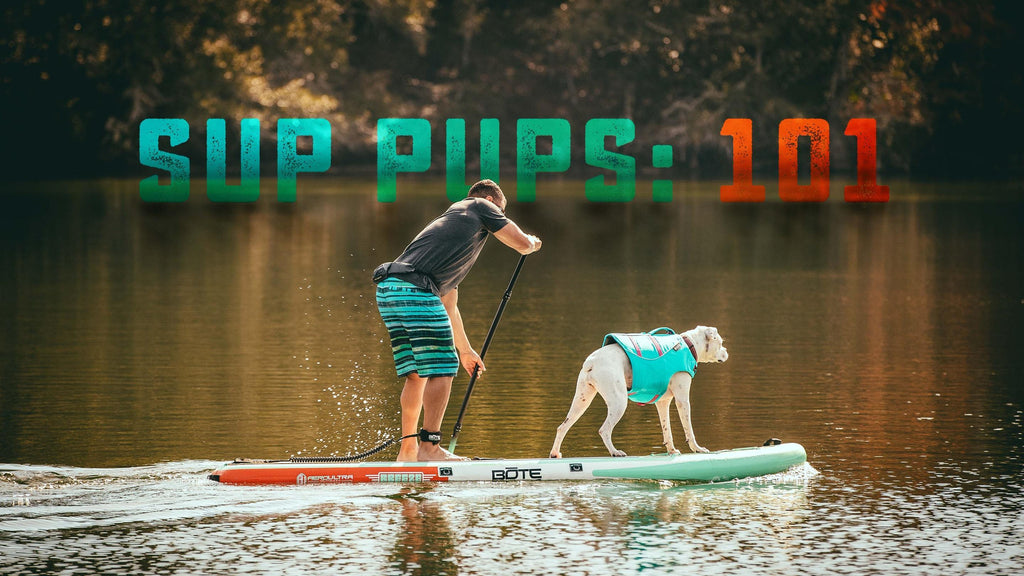 SUP PUPS 101: Introducing Your Dog to Paddle Boarding