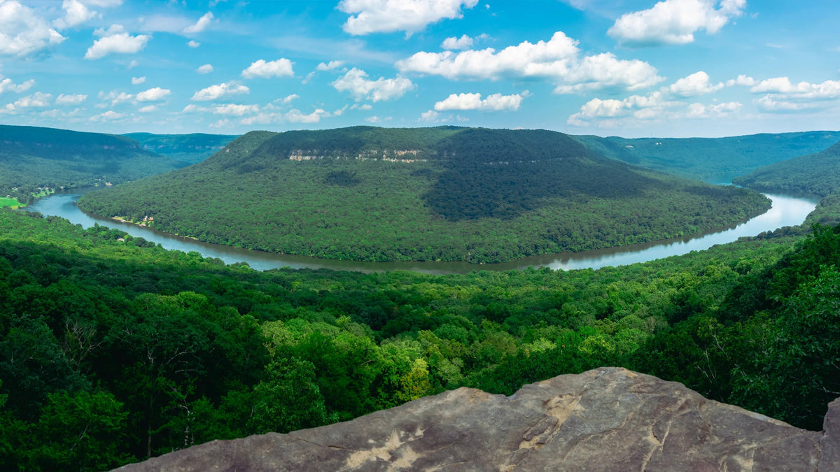 Tennessee's Grand Canyon • Tennessee River - SUP the State Part 4