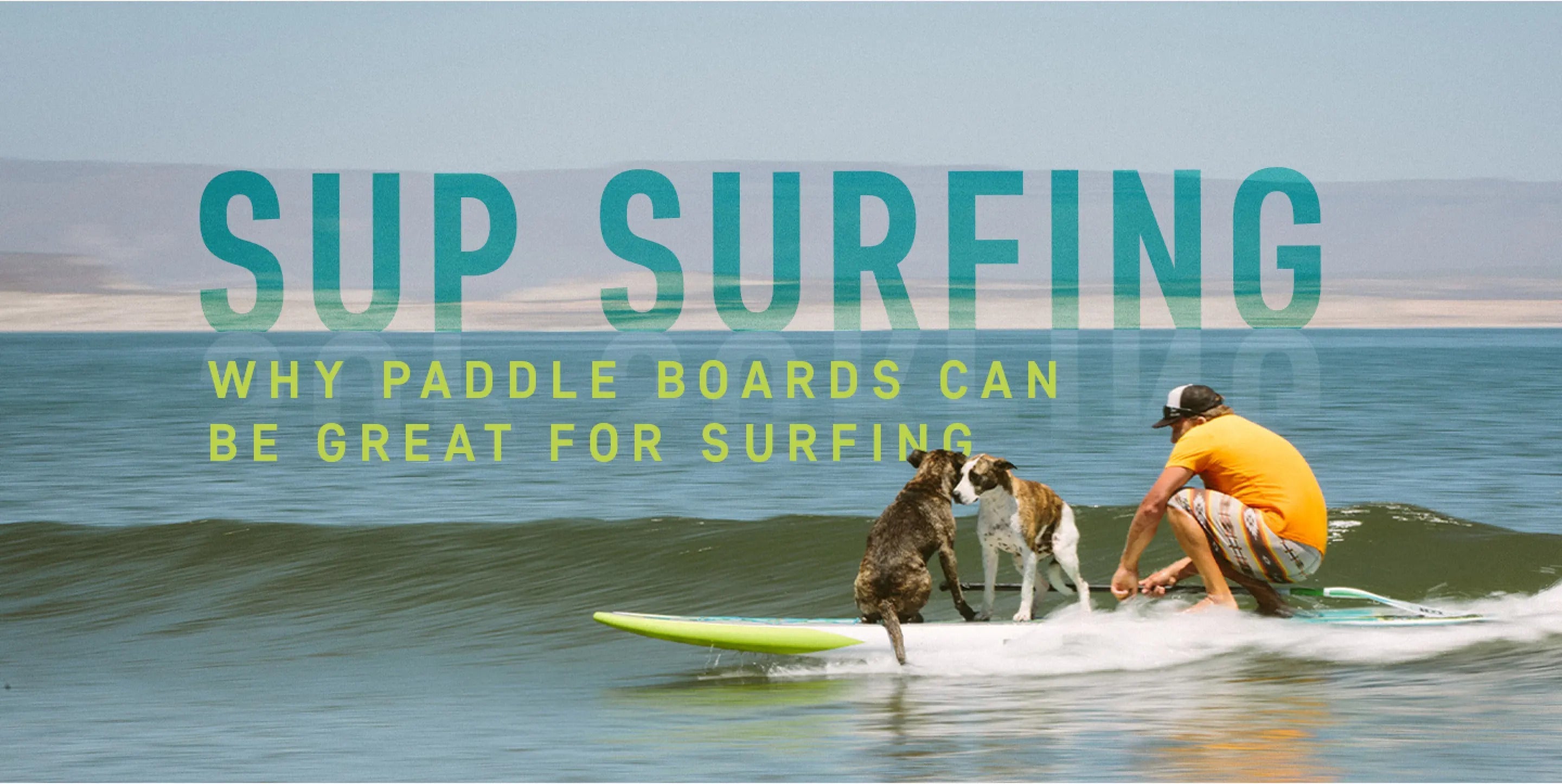 A paddler on his SUP with two dogs on his board surfing a wave. There is a text overlay that says " SUP Surfing: Why paddle boards can be great for surfing"