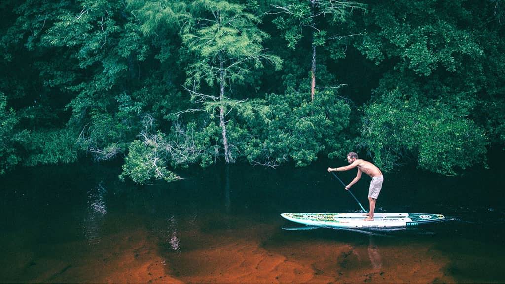 Person paddling a stand-up paddleboard on a calm river with dense green trees along the shoreline.