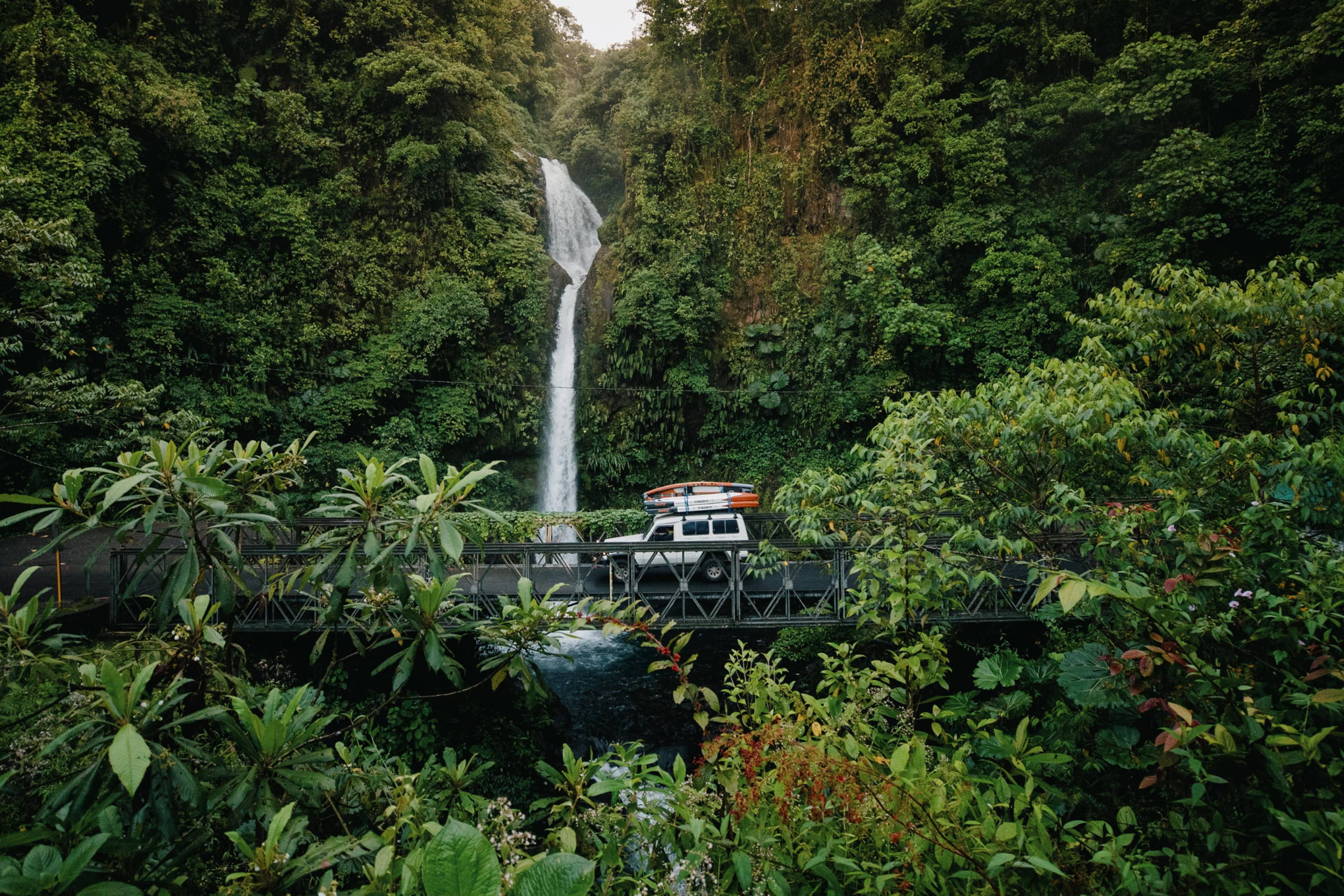 BOTE Presents // Backwater