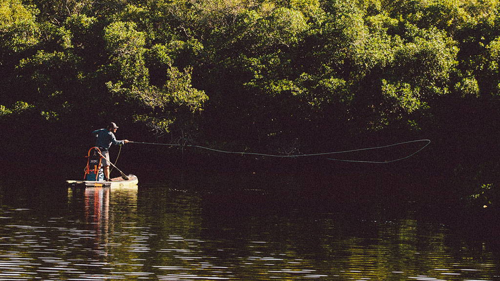 Person fly fishing from a paddle board on a calm river framed by dense green trees.