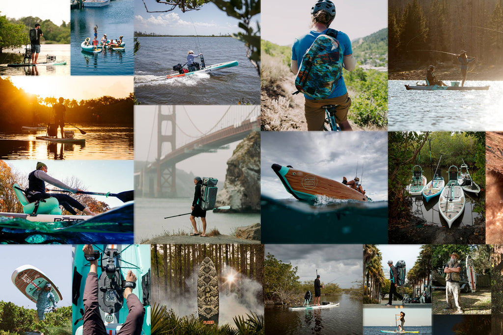 2021 : A Year in Review