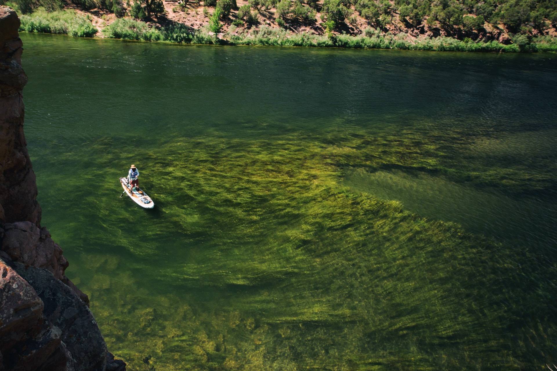 Person wearing a sun hat paddleboarding across a green, mossy river.