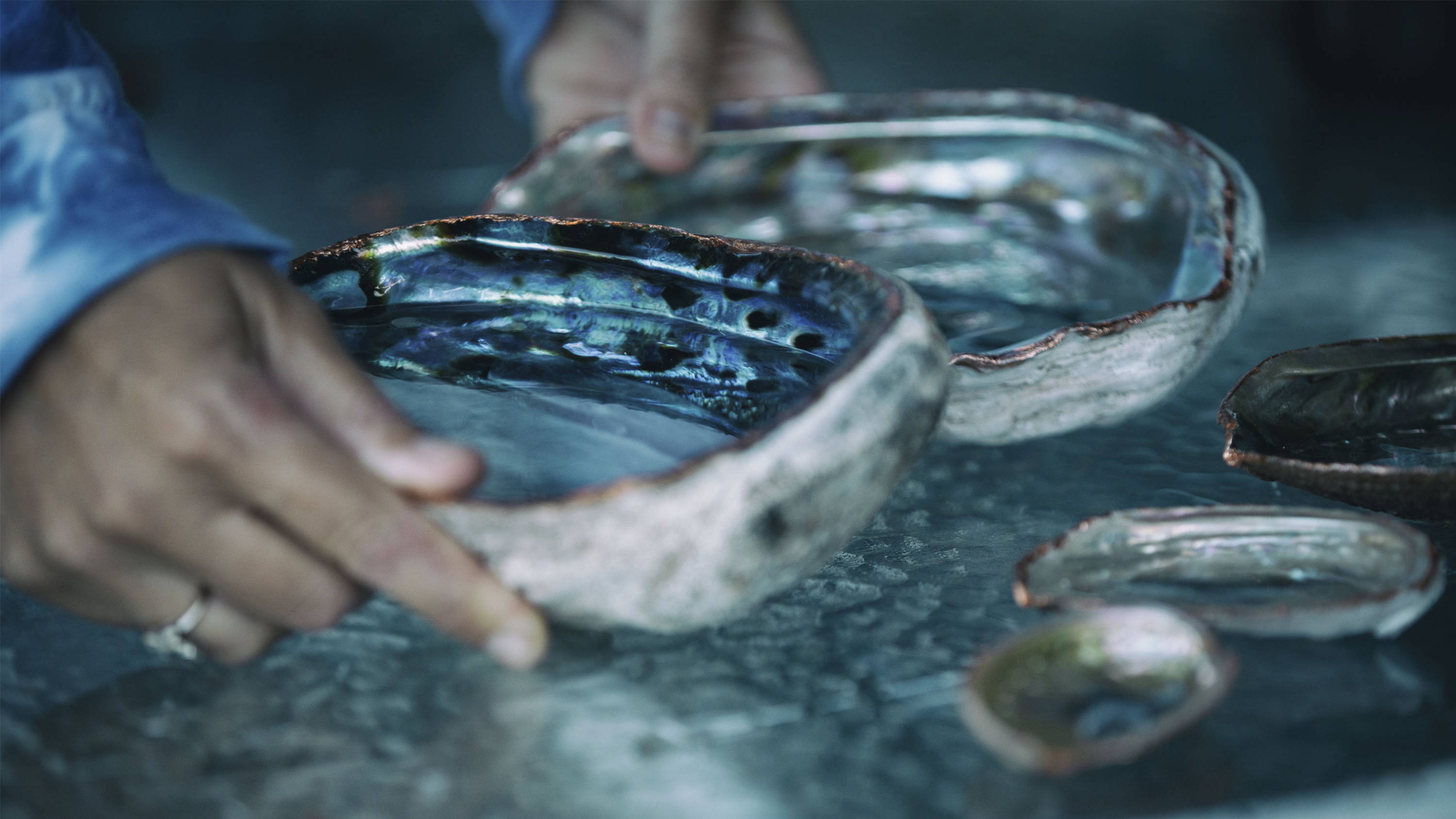 BOTE Presents // Abalone