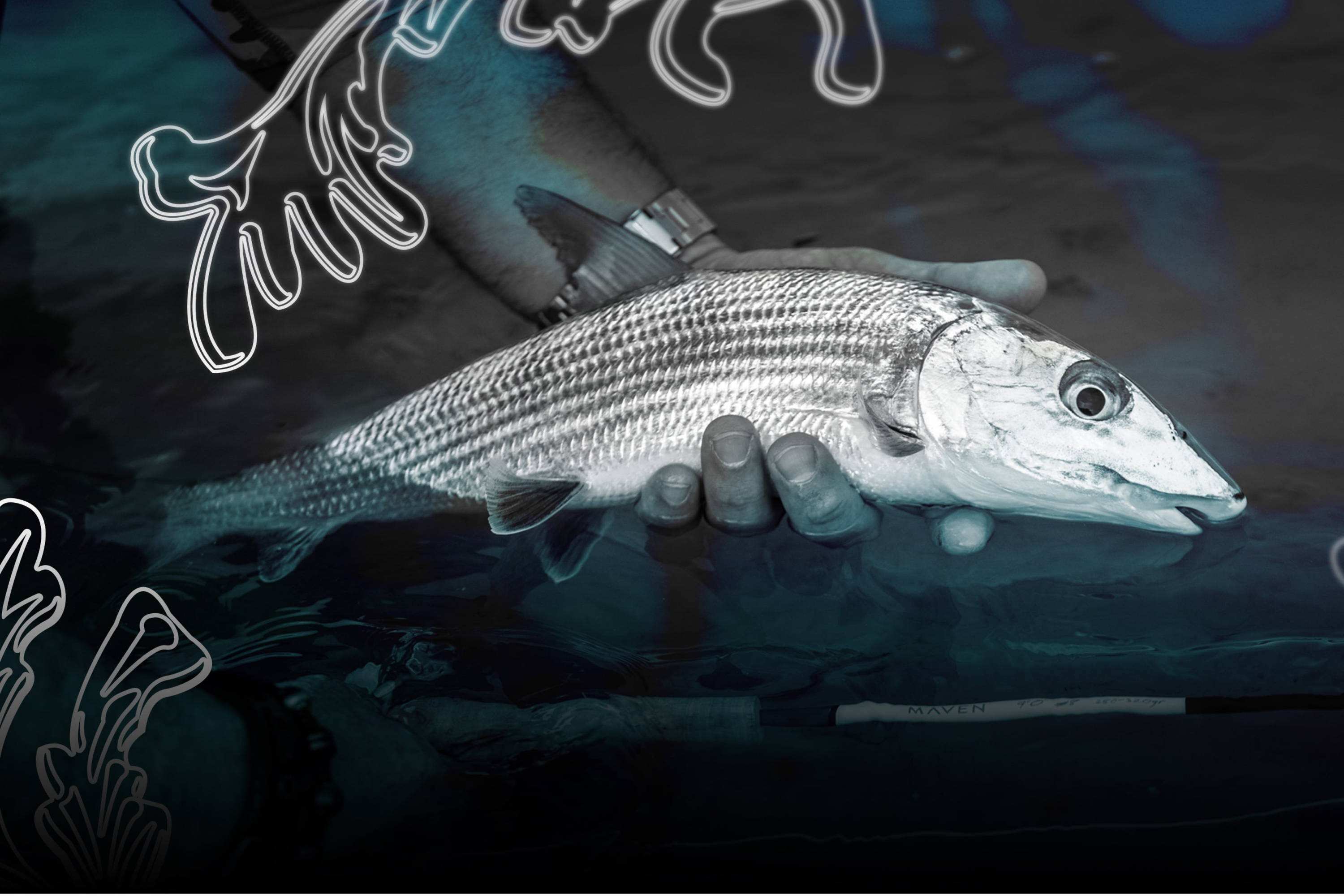 BOTE Presents // Bonefish | BOTE