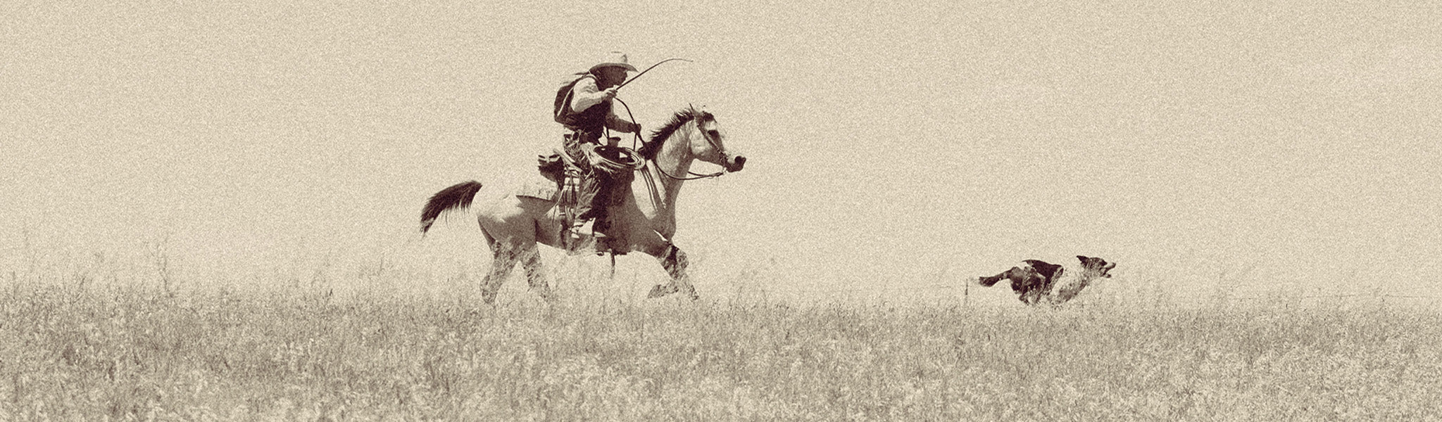 Last Cowboy Limited Edition