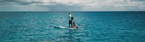 All BOTE Paddle Boards
