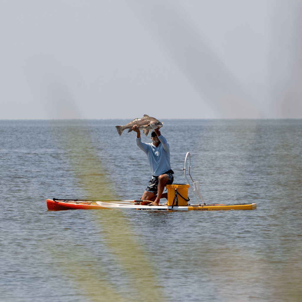 A guy holding up a redfish on a Rackham 14′ Fischer Cutthroat Paddle Board