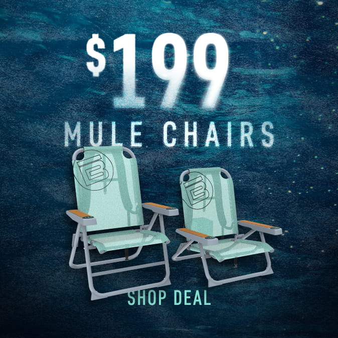 Mule Chair BF