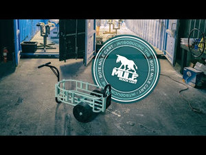 Video of the Mule Beach Cart